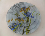 glass plate