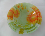 glass plate