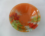 glass plate