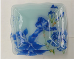 glass plate