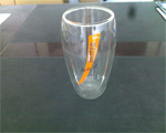 double wal glassl cup